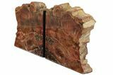 Tall, Arizona Petrified Wood Bookends #202304-1